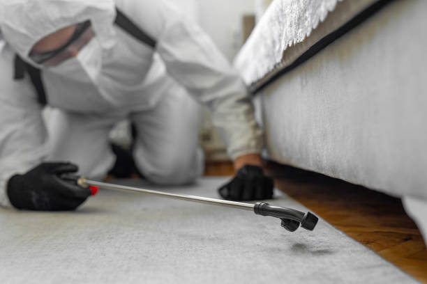 Professional Cockroach Control technician working in Caledonia, MS