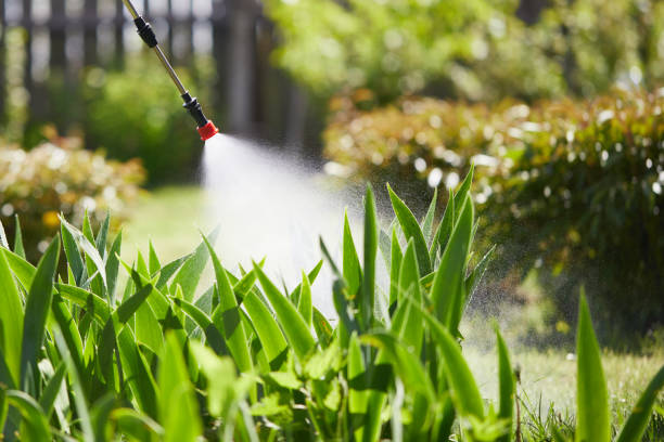 24/7 Emergency Cockroach Control experts in Caledonia, MS