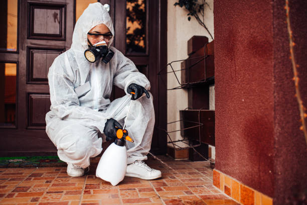 Reliable Cockroach Control contractor in Caledonia, MS by Nex Pest Control
