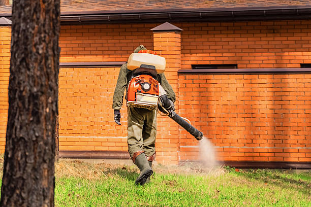 Top rated local Cockroach Control specialists in Caledonia, MS
